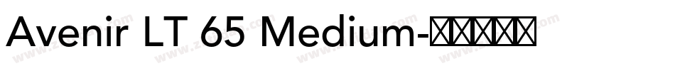 Avenir LT 65 Medium字体转换
